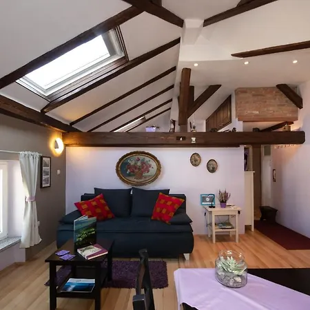 Vanja * 오파티아